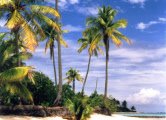 aitutaki_002